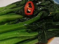 -有心德(麦地店)