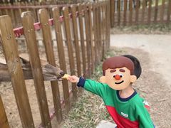 -王借岗森林公园