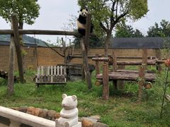 -杭州野生动物世界