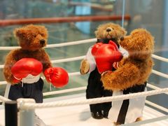 -济州岛泰迪熊博物馆