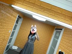-圣霏亚礼服租赁·主持人服装租赁(上海静安总店)