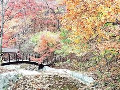 -天女山森林公园