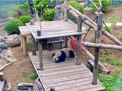 -大连森林动物园