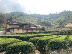 -福建土楼（华安）旅游区•大地土楼群