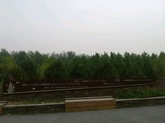 -东郊湿地公园