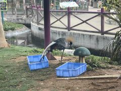 -灵玲国际马戏城