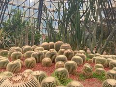 -昆明市金殿名胜区