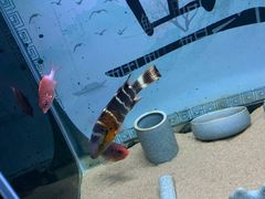 -欢乐海岸海洋奇梦馆
