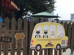 -柴犬高等学院·狗咖·柴犬售卖·宠物训练