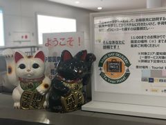 -中部国际机场