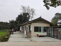 -洪湖家庭农场·团建·露营·会议