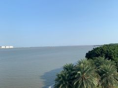 -大湾区中央湿地公园