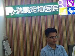 -瑞鹏宠物医院·微创内窥镜·骨外科·牙科(翠竹分院)