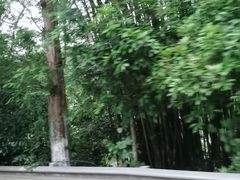 -青城两河漂流