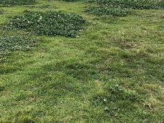 -栖露营camping·天幕烧烤·团建拓展·采摘营地