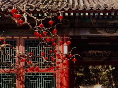 -颐和园