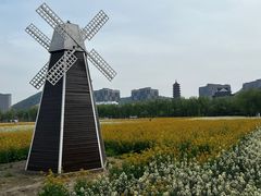 -长兴太湖图影湿地文化园