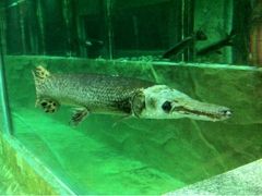 -肇庆奥威斯酒店