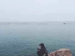-枸杞岛