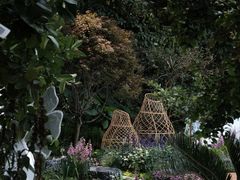 -深圳仙湖植物园