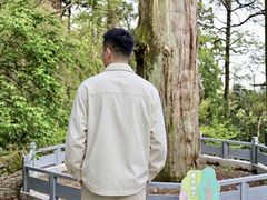 -天目山大树王景区