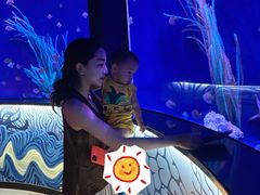 -沈阳海洋探索中心