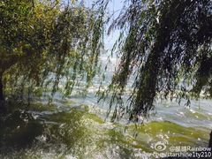 -南诏风情岛