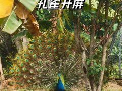 -广州动物园