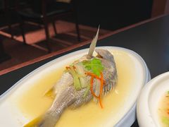 -庄氏祥记深夜厨房·文火煲仔翅