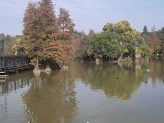 -海珠湖公园