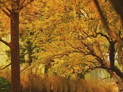 -元大都城垣遗址公园