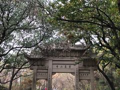-灵岩山风景区