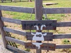 -前小桔亲子创意农场·草莓采摘·露营烧烤