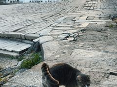 -渔梁坝