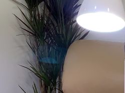 -阿噶西美甲美睫