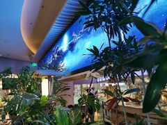 -桂满陇·蟹黄小笼汤包(清河万象店)