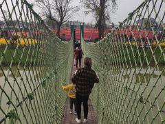 -荷兰花海