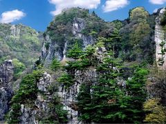 -牛背梁国家森林公园