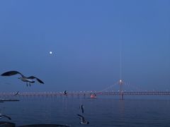 -星海广场
