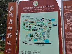 -贵州森林野生动物园