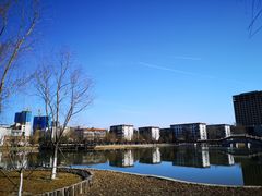 -西海子公园