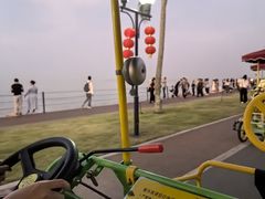 -野狸岛