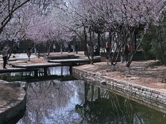 -春风习习