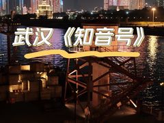 -武汉知音号
