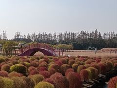 -嘉北郊野公园