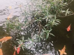 -三亚亚龙湾五号度假别墅酒店