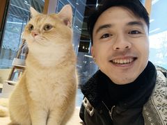 -米乐乖乖猫咪咖啡馆·猫咖(深圳湾后海汇店)