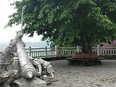 -大渡口区义渡公园