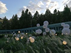 -汉堡王(北京三里屯购物中心)