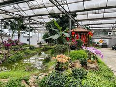 -石家庄市植物园